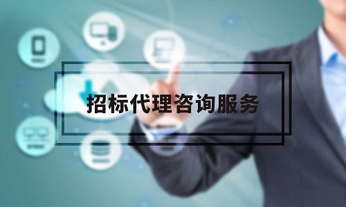 招标代理咨询（政府采购）
