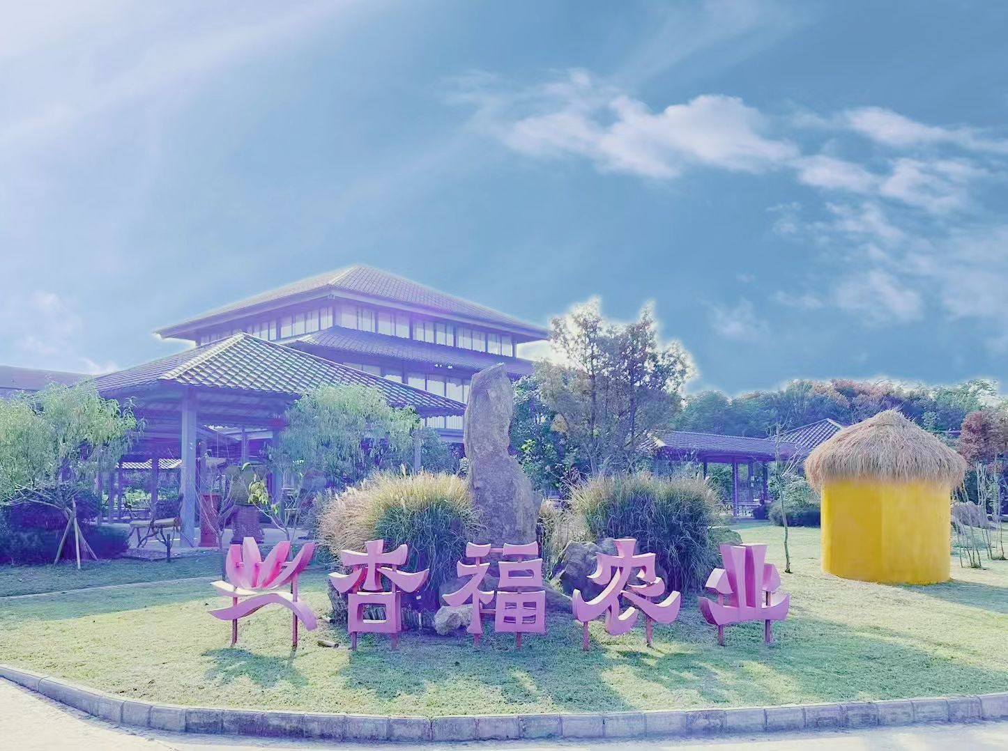 图片8.png
