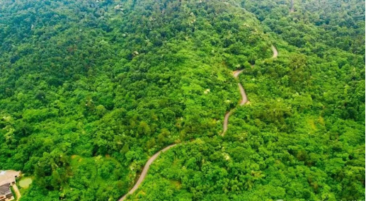 泽林镇陈桥村人居环境整治及凤凰山登山步道项目